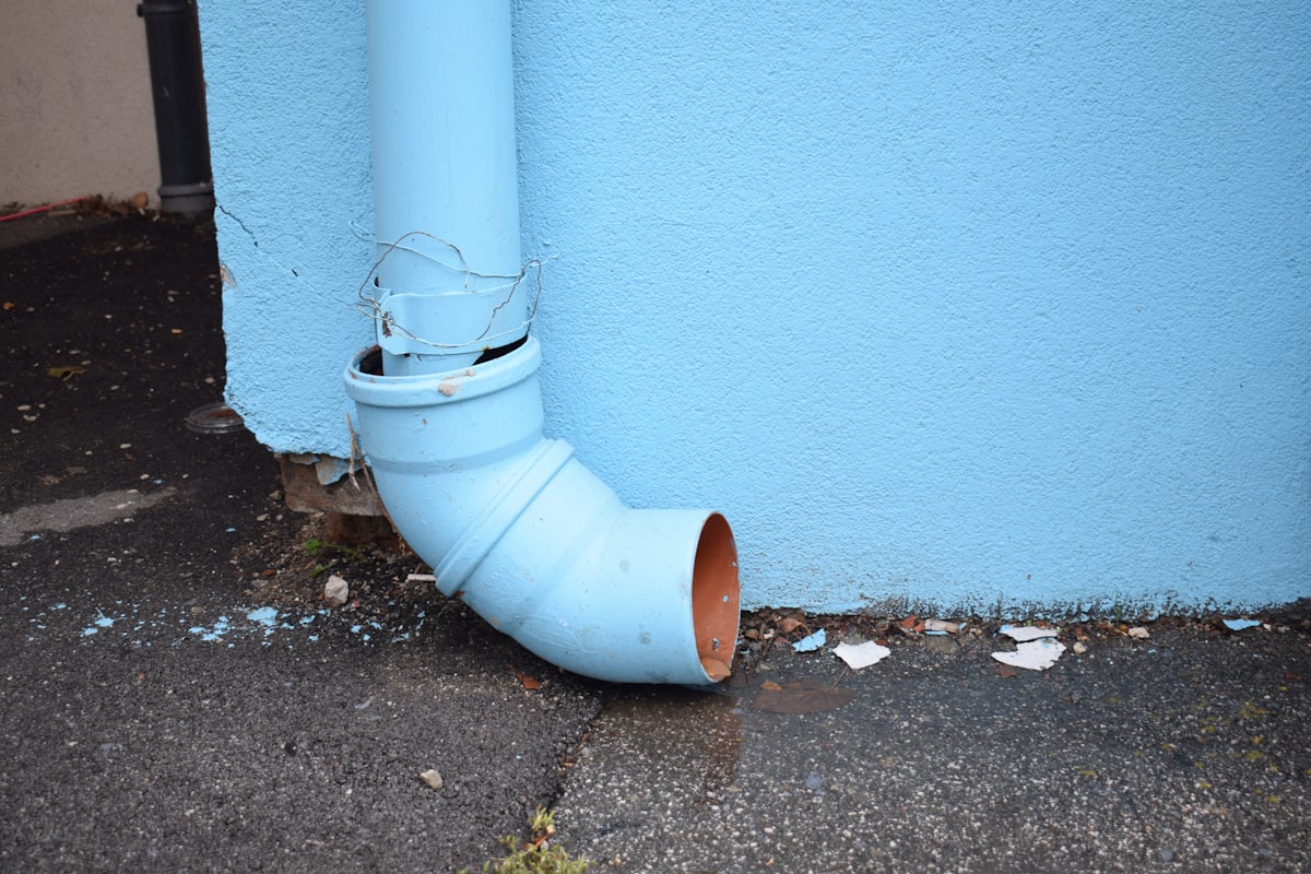 Mold Remediation service in Chapel Hill, NC