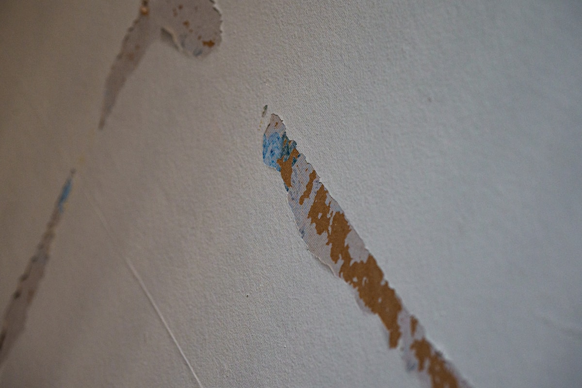 Water Extraction service in Chapel Hill, NC